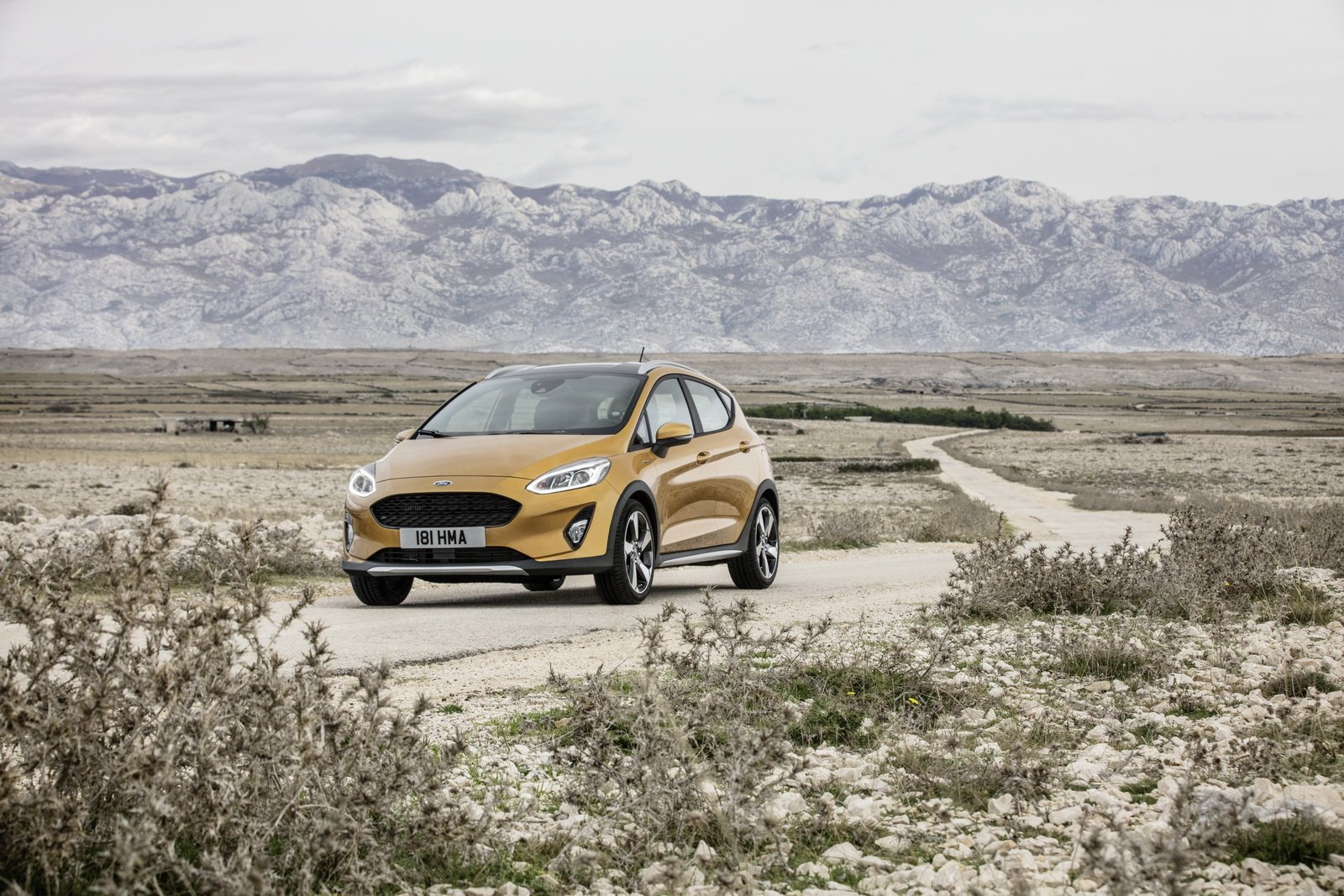 Nuova Ford Fiesta Active Crossover 2017