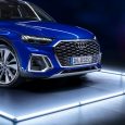 Griglia ottagonale Audi Q5 Sportback