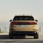 Nuove tonalitàAudi Q8